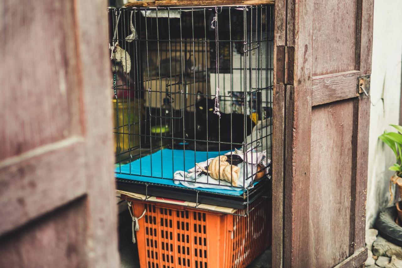 One Of Us House Vandrehjem Bangkok Eksteriør billede